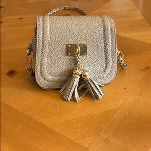 Elegant Gray Tassel Women's Bag
